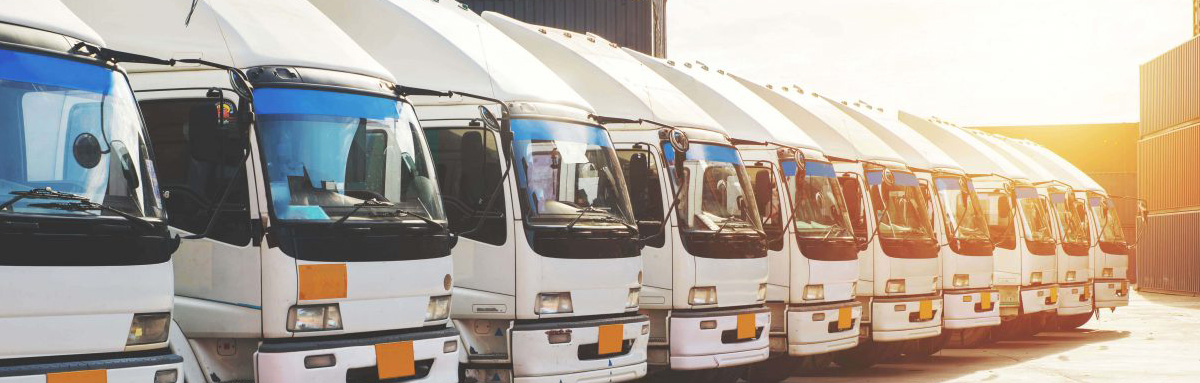 Shan-Loong Transportation eASPNet